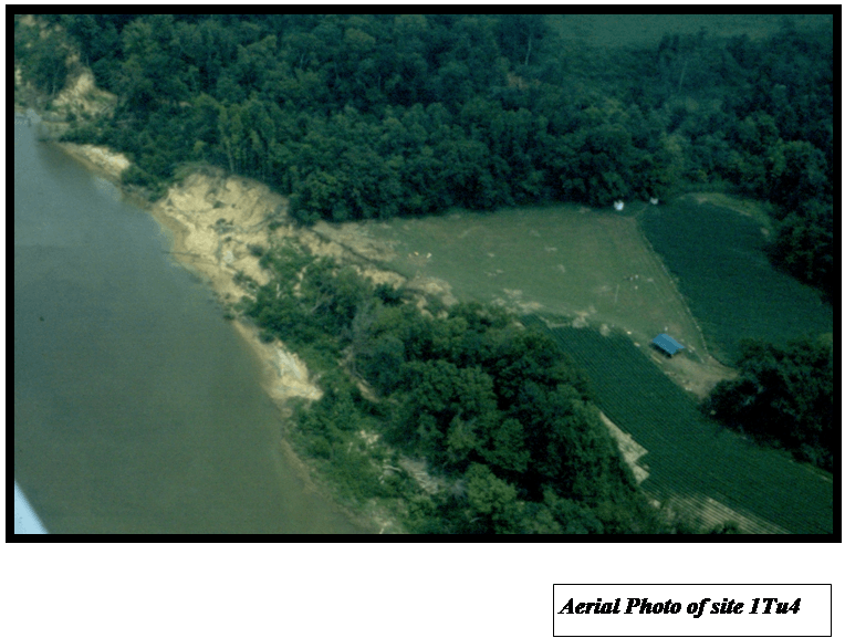 Archeology Ink Warrior River Valley of Alabama Site 1Tu4 A